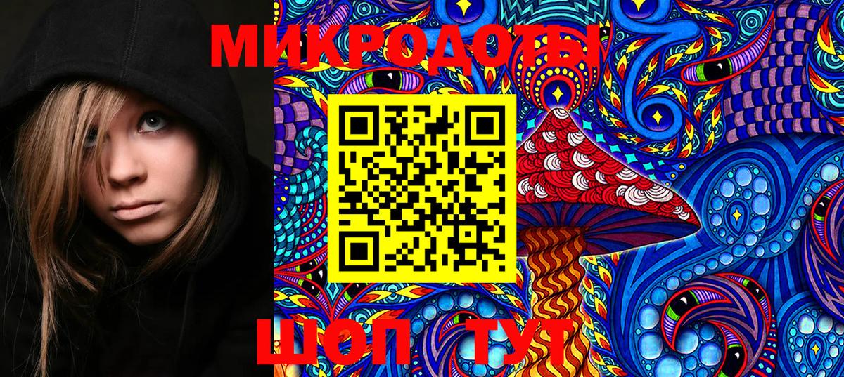 Псилоцибиновые грибы MAGIC MUSHROOMS Муром